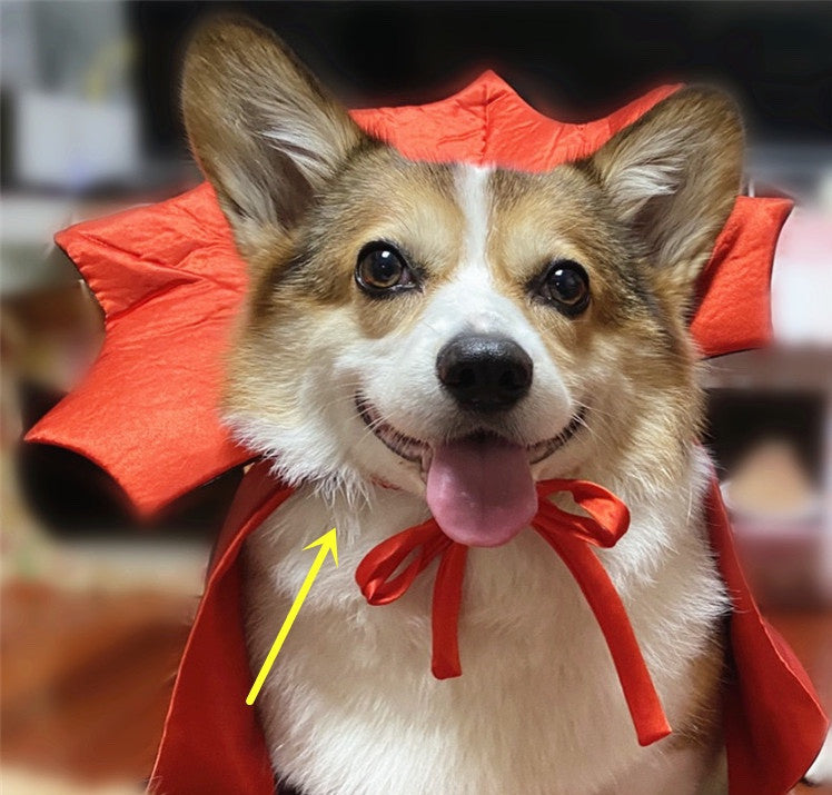 Halloween Pet Cape Vampire Costume