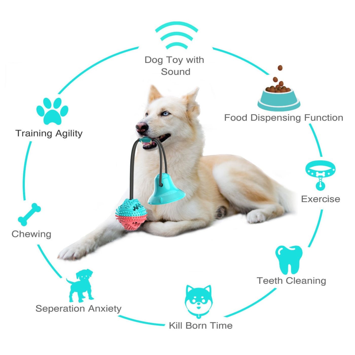 Suction Cup Pets Toys