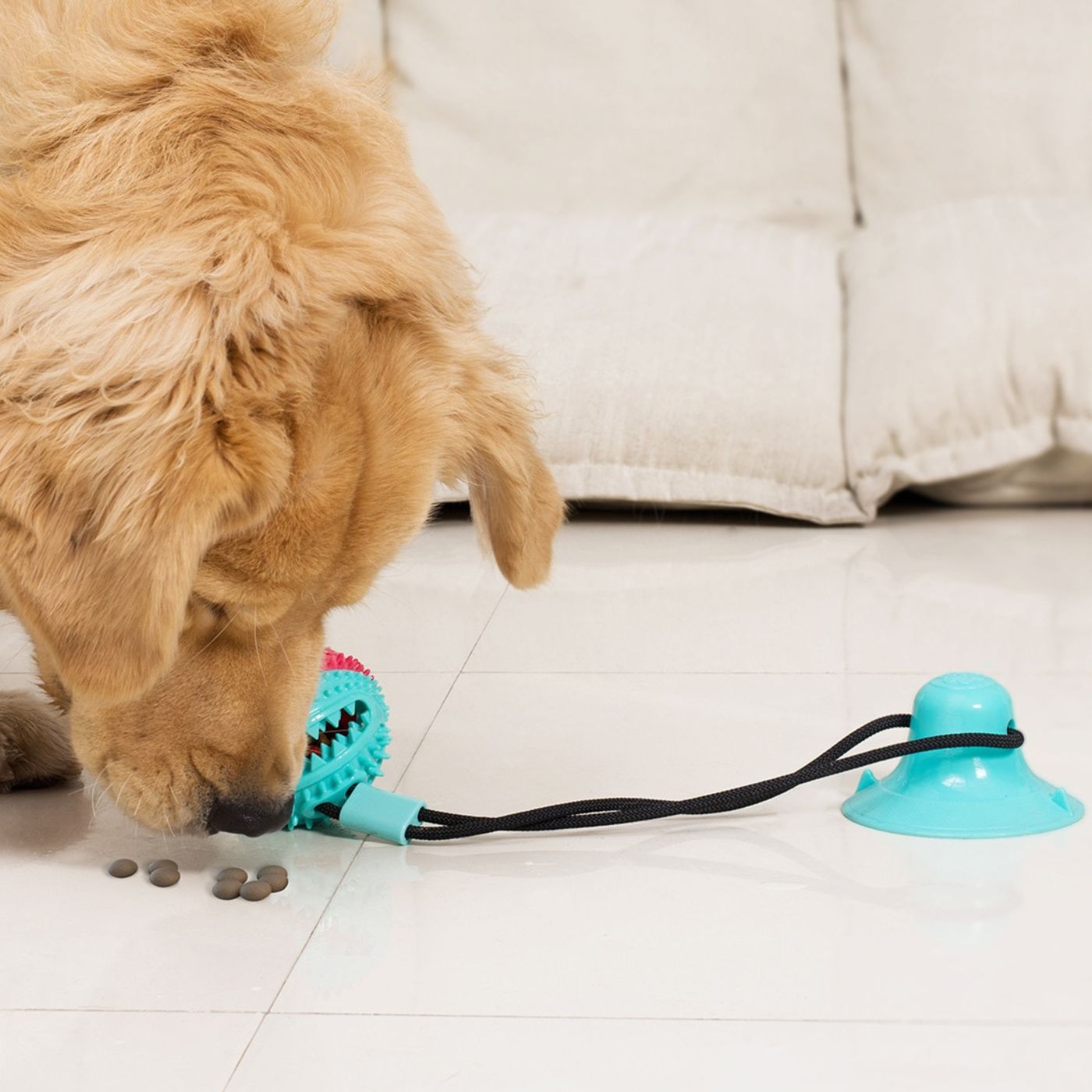 Suction Cup Pets Toys