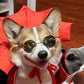 Halloween Pet Cape Vampire Costume