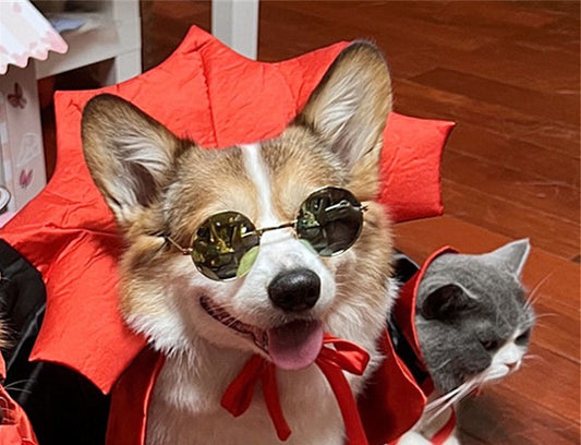 Halloween Pet Cape Vampire Costume