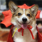 Halloween Pet Cape Vampire Costume